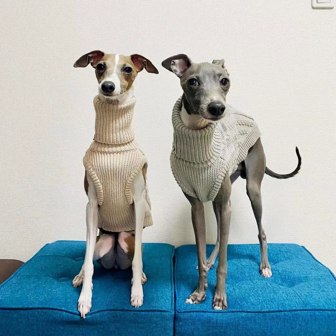 Dog Fashionable Outerwear Knit Sweater Accessories – Ailime Designs