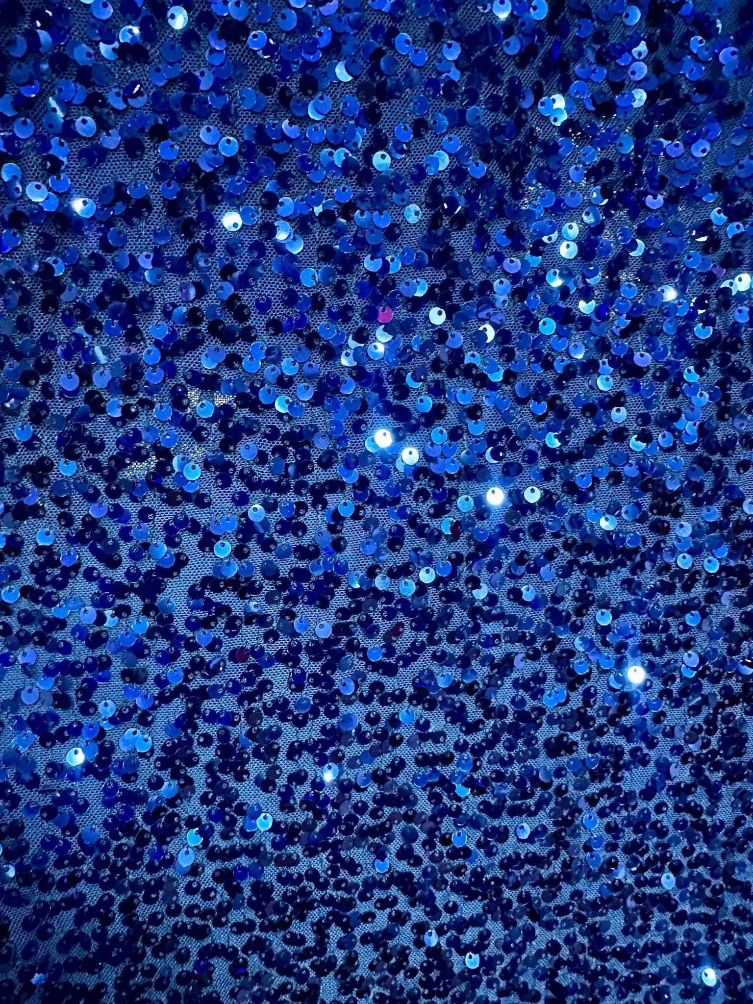Sequin Long Skirt